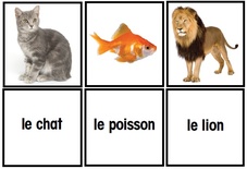 Les Animaux Flash Cards