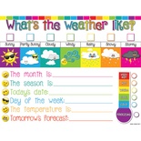 Weather Emoji 17" x 22" Smart Poly™ Chart
