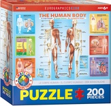 The Human Body Puzzle