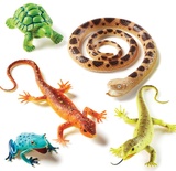 Jumbo Reptiles & Amphibians