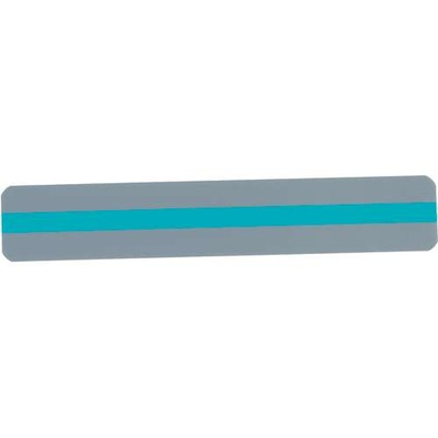 Reading Guide Strips, Blue