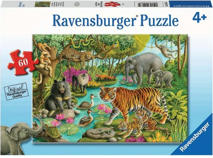 Animals of India Puzzle